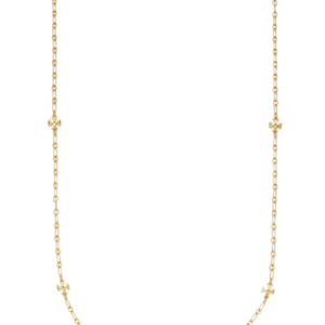 Roxanne Chain Delicate Long Necklace